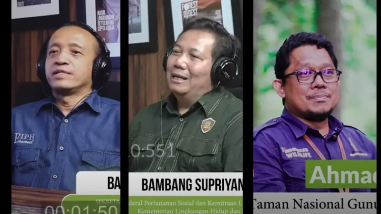 Thumbnail Forest Digest FDI